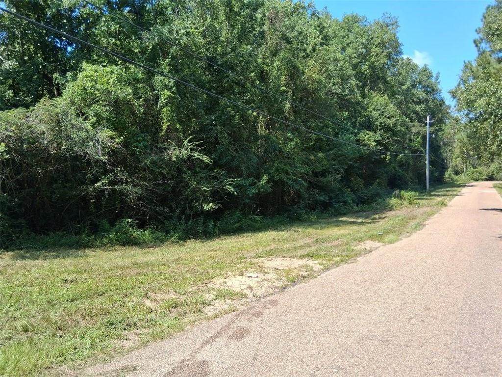 0 Alma Drive - Photo 1