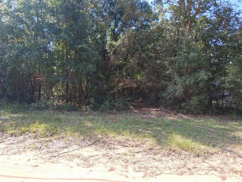 00000 Glenwood Farms Drive - Photo 1