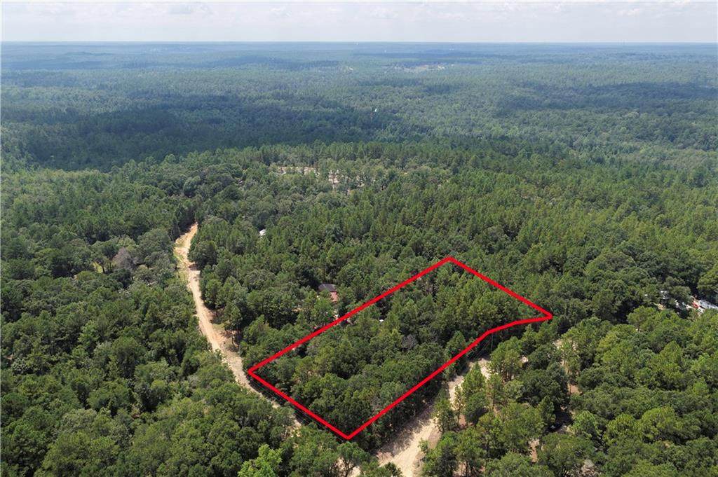 145 Williamson Road - Photo 1