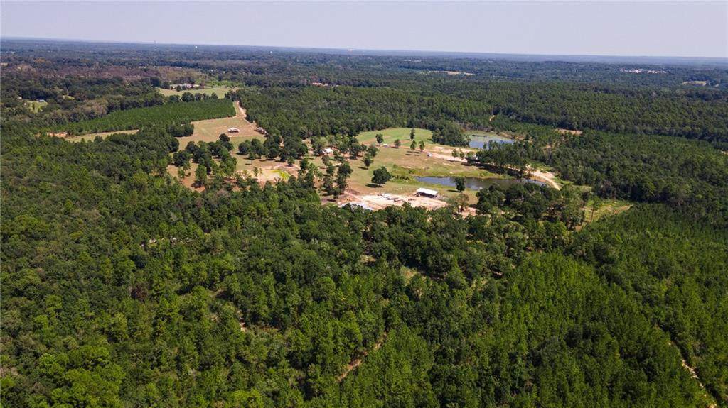 18280 6th Street - Photo 1