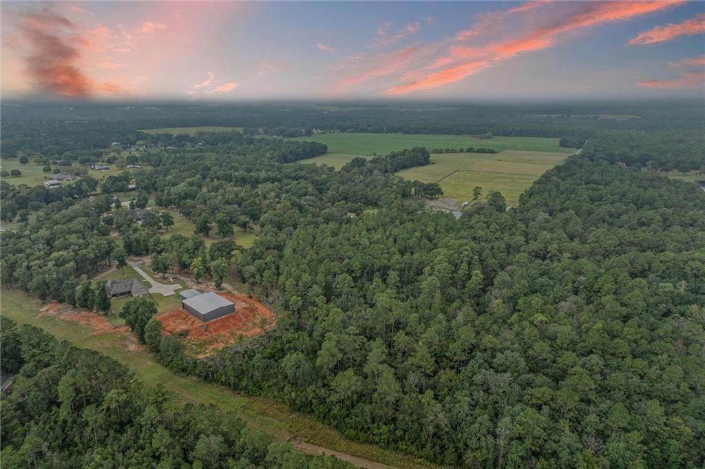 4370 Grand Bay-Wilmer Road - Photo 1