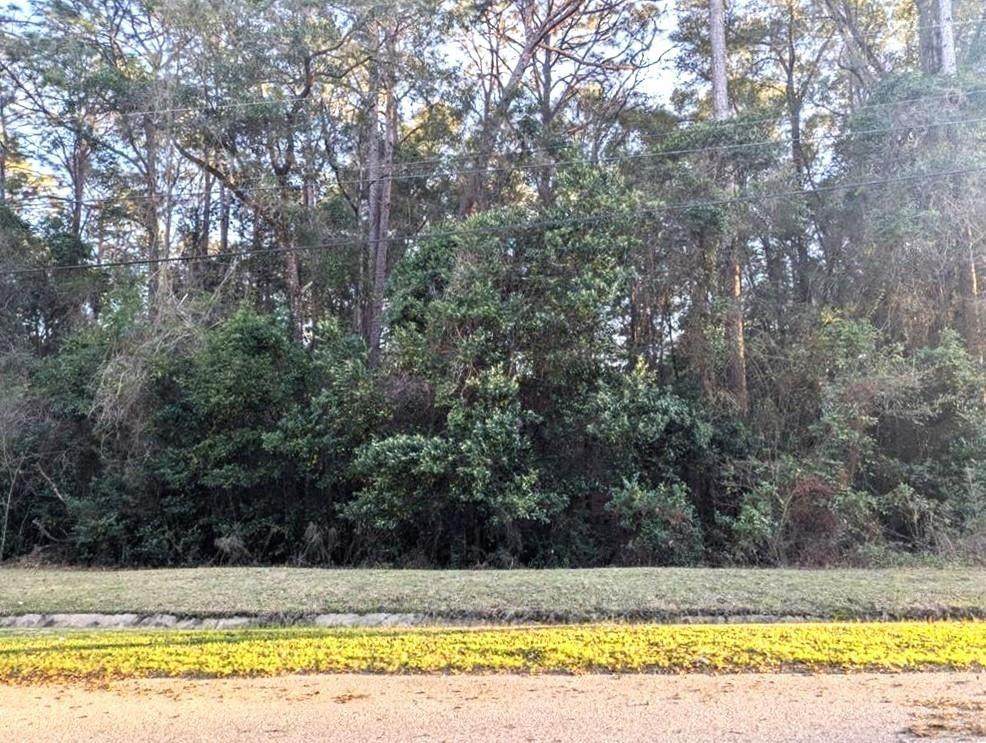 0 Laverne Drive - Photo 1