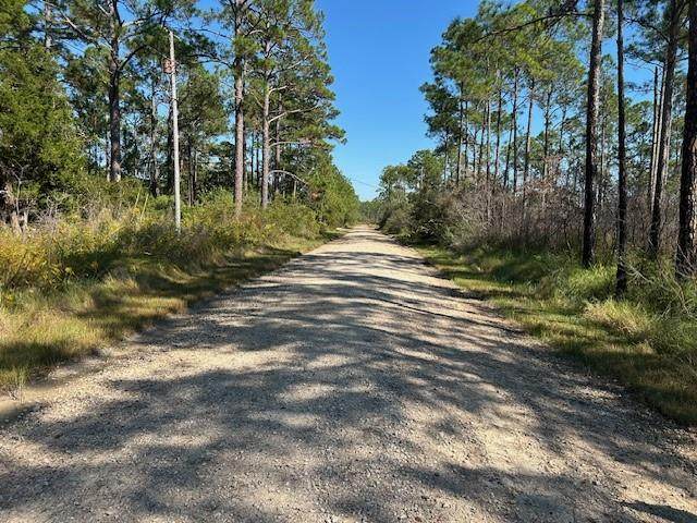 0 Michigan Avenue - Photo 1