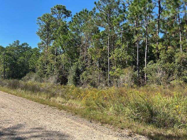 0 Washington Avenue - Photo 1