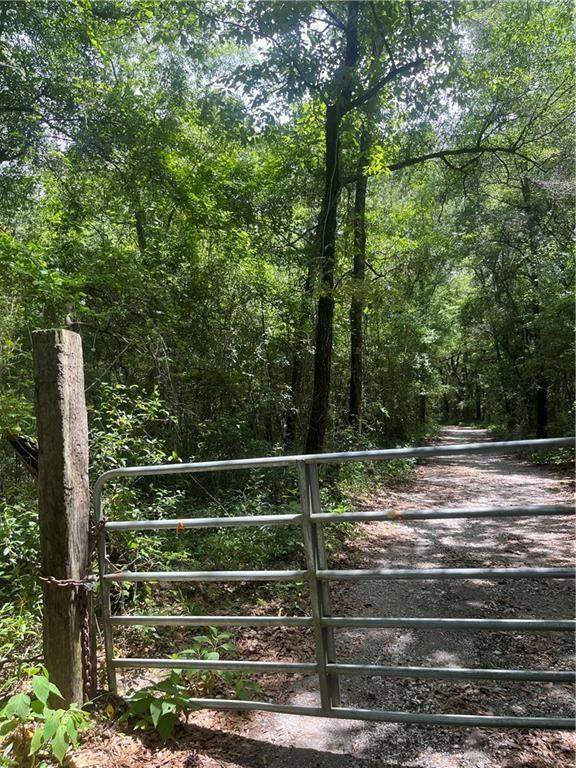 0 Williamstowne Curve - Photo 1