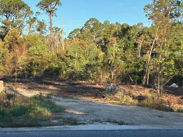 0 Dauphin Island Parkway - Photo 1