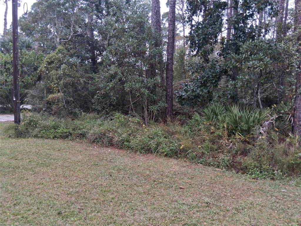 139 Narvaez Street - Photo 1