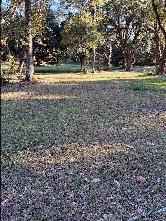 7317 Wigfield Road - Photo 1