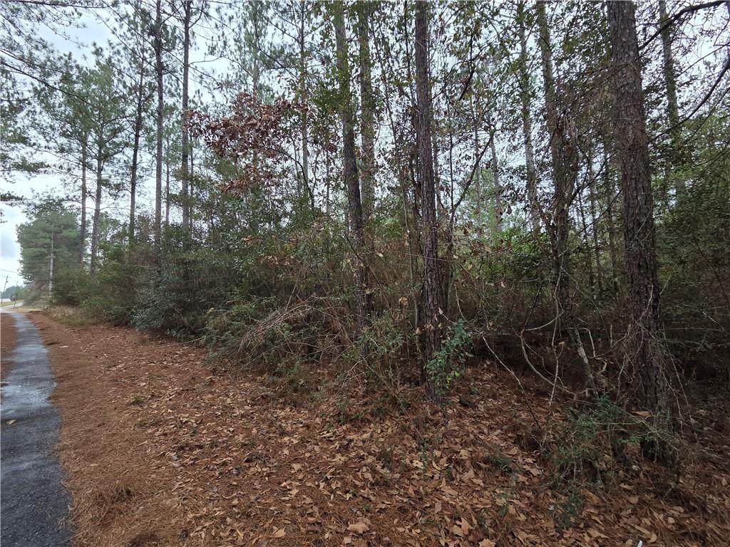 0 Highway 45 Lot#12 - Photo 1