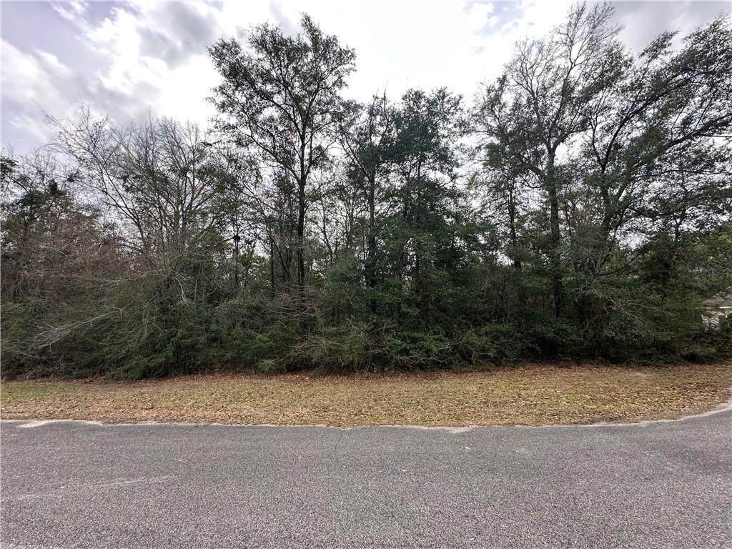 0 Timber Springs Drive - Photo 1