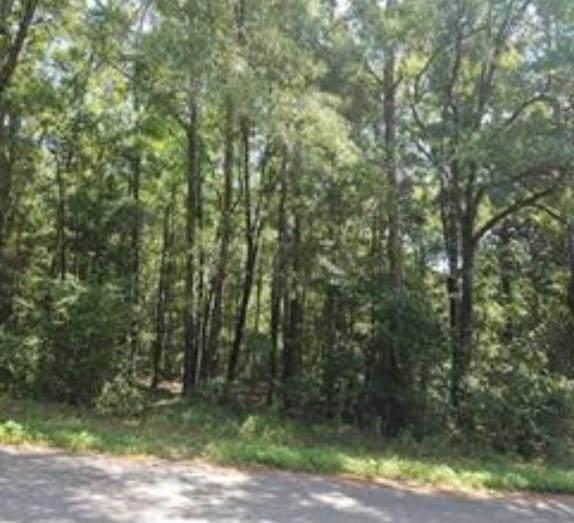 0 Mill House Drive - Photo 1