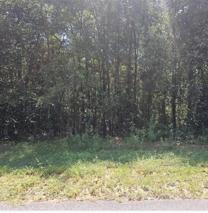 0 Mill House Drive - Photo 1