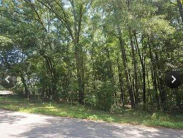 0 Mill House Drive - Photo 1