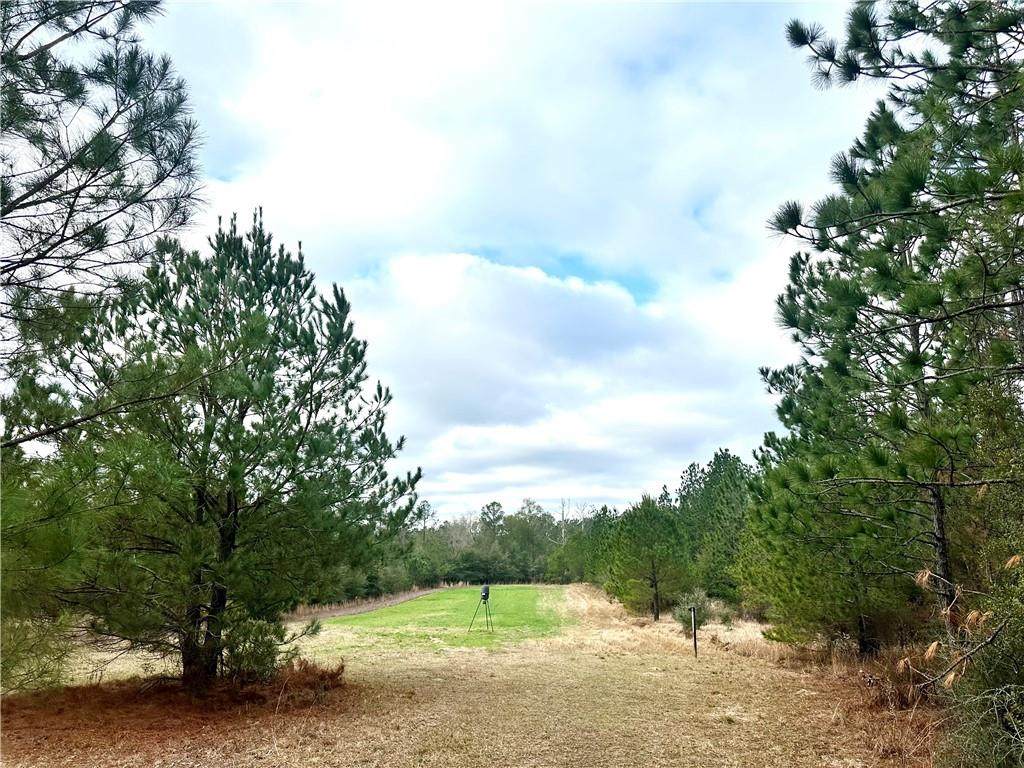 4699 Lambert Cemetery Road - Photo 1