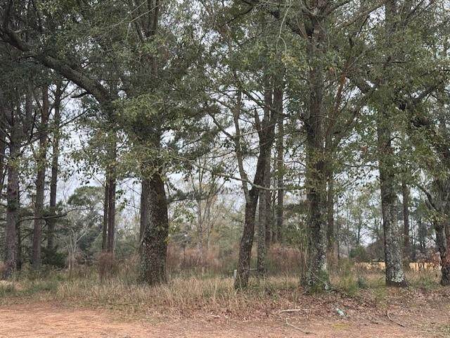 8601 Grelot Road - Photo 1