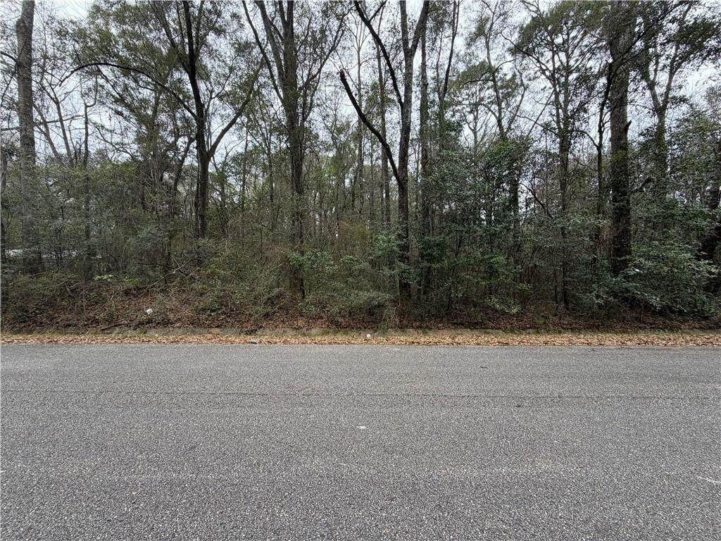 0 Carol Street - Photo 1