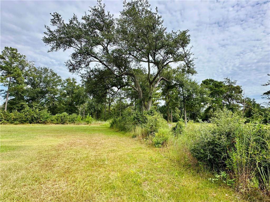 4604 Cypress Park Drive - Photo 1