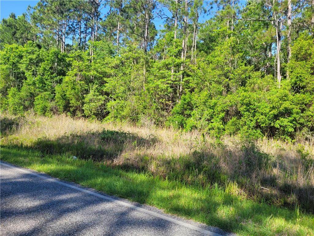 0 Bellingrath Road - Photo 1