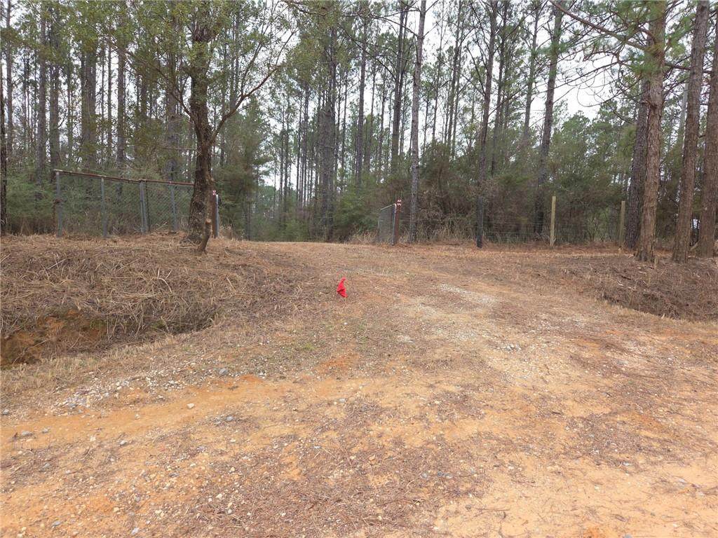 0 Chunchula Landfill Road - Photo 1