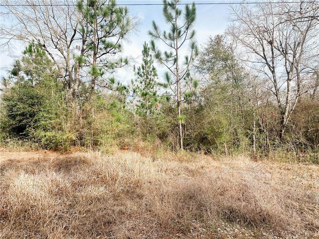 12180 Roberts Road - Photo 1