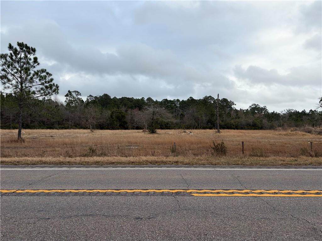 10585 Bellingrath Road - Photo 1