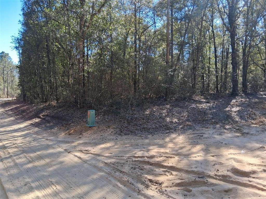 0 Williamson Road - Photo 1