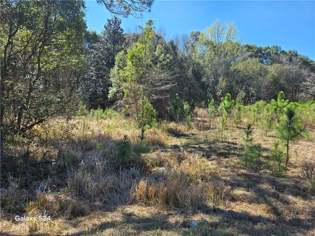 9641 Highway 188 - Photo 1