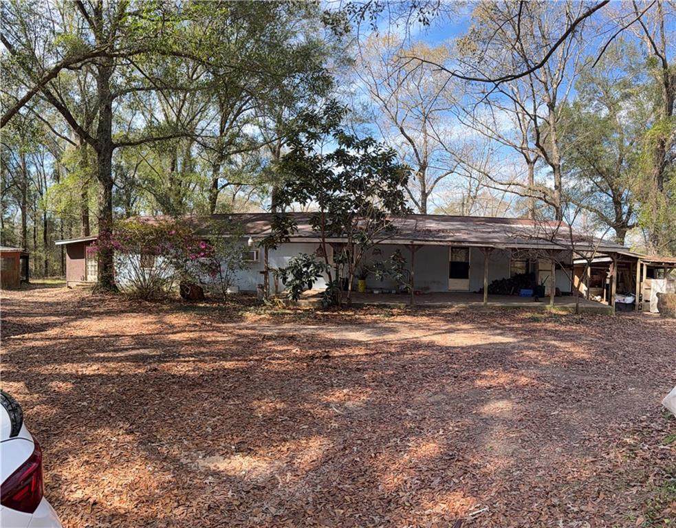 9749 John Paul Road - Photo 1