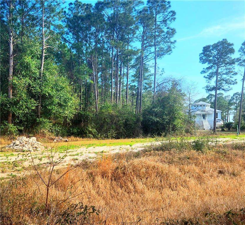 0 Fort Morgan Road - Photo 1