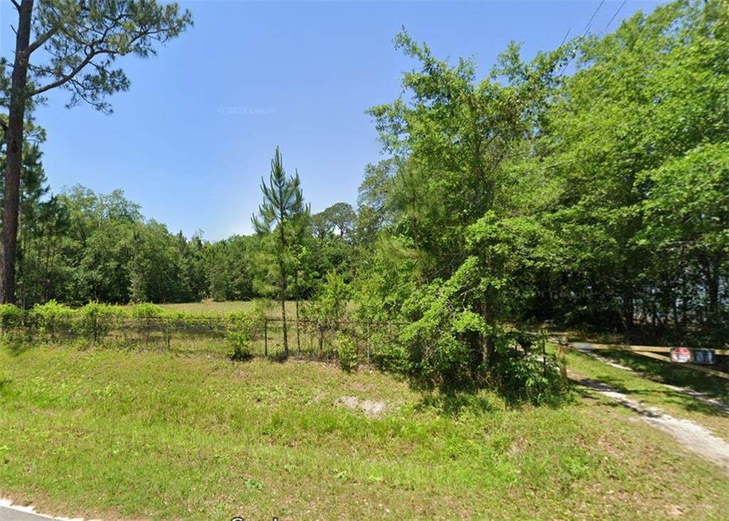 3150 Lees Lane - Photo 1