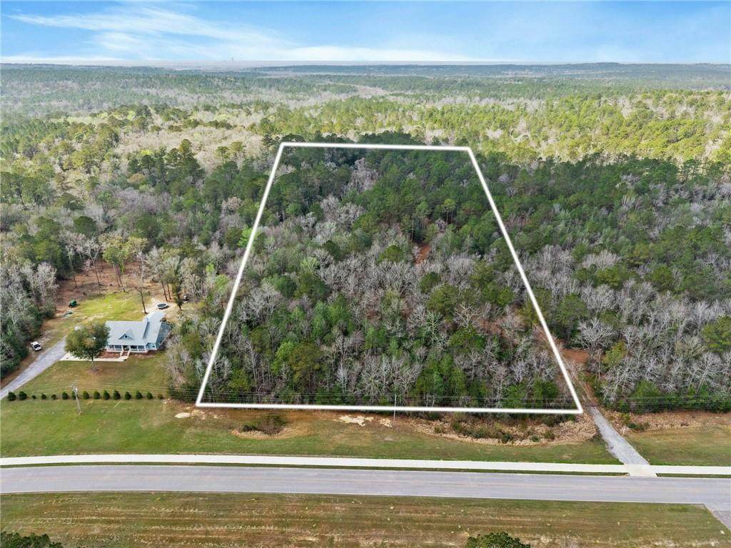 33521 Jimmy Faulkner Drive - Photo 1