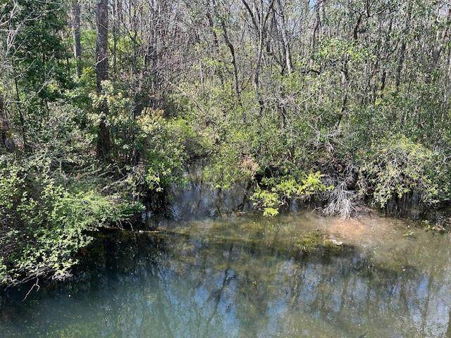 0 Old Pascagoula Road - Photo 1
