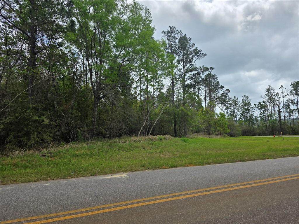 11631 Red Hill Road - Photo 1