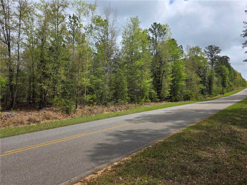 12185 Red Hill Road Extension - Photo 1