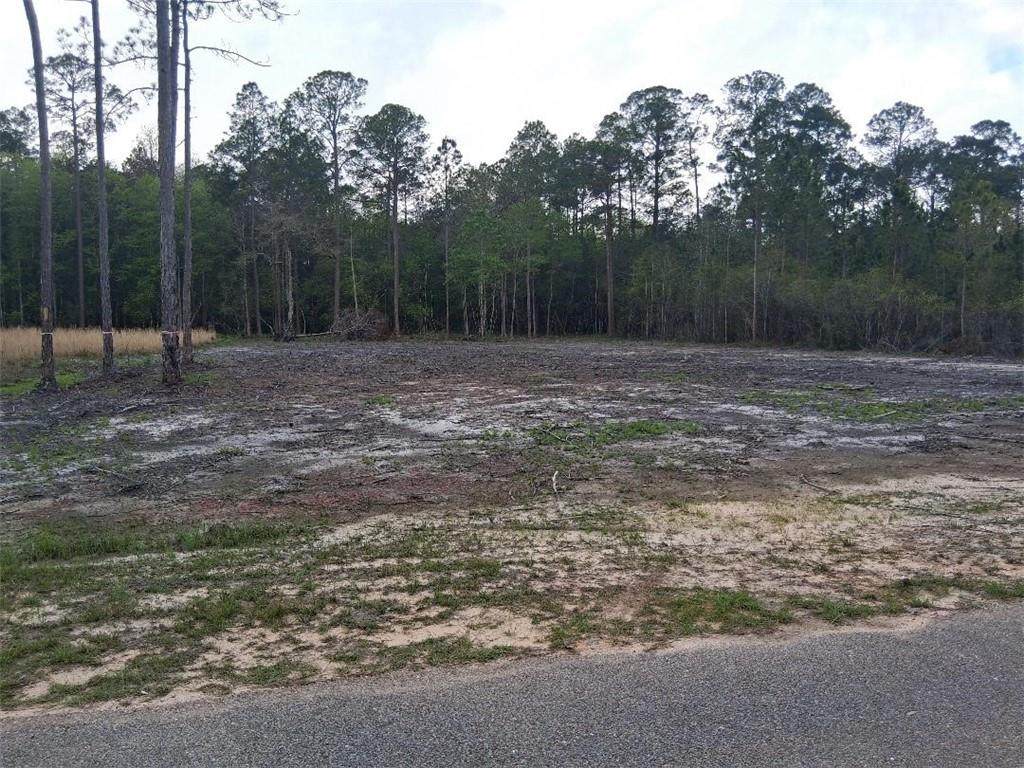 00000 Deerfield Drive - Photo 1
