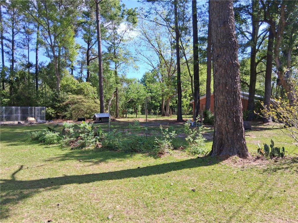 5831 Graham Lane - Photo 1