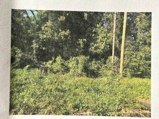 1614 Wardwood Drive - Photo 1