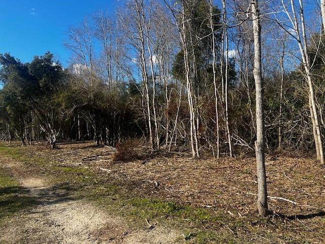 0 Bellingrath Road - Photo 1