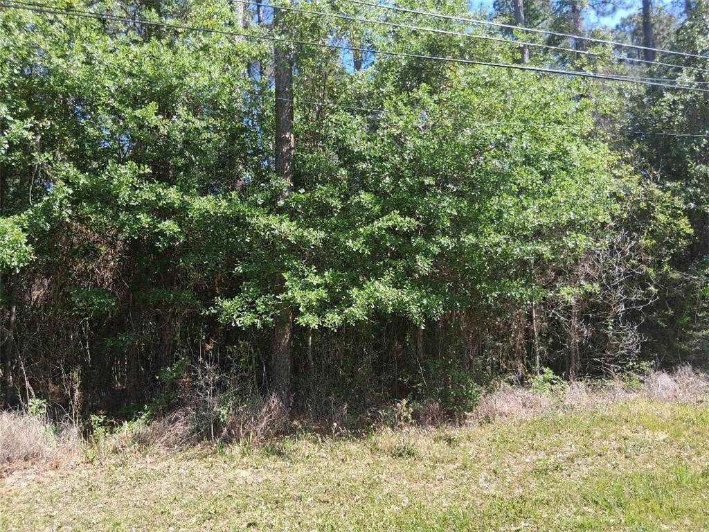 0 Clearview Drive - Photo 1
