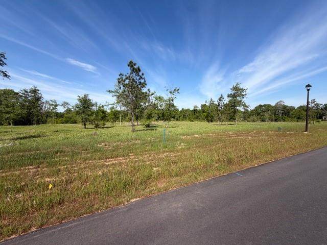 0 Sandy Creek Lane - Photo 1
