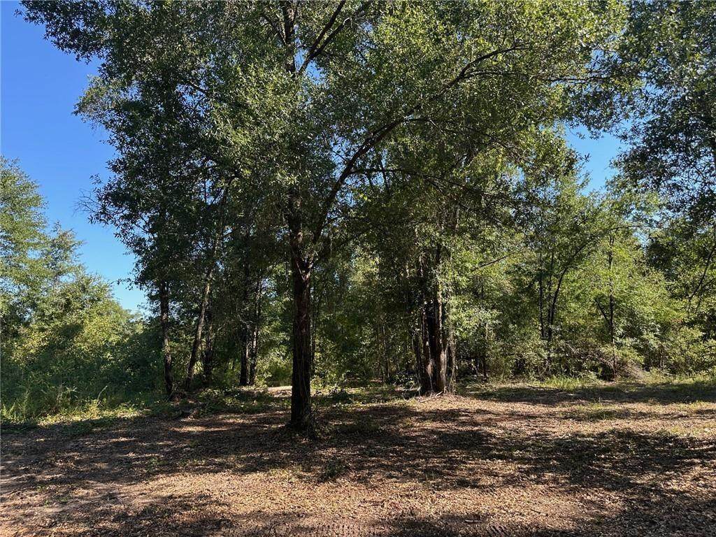 00 Newman Road - Photo 1