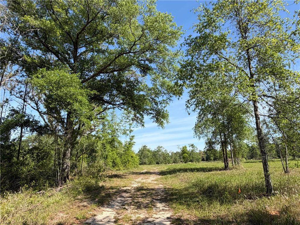 0 Sandy Creek Lane - Photo 1