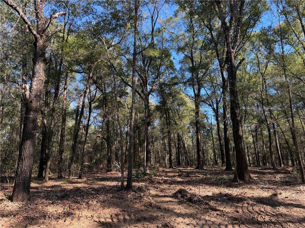 0 Danner Road - Photo 1