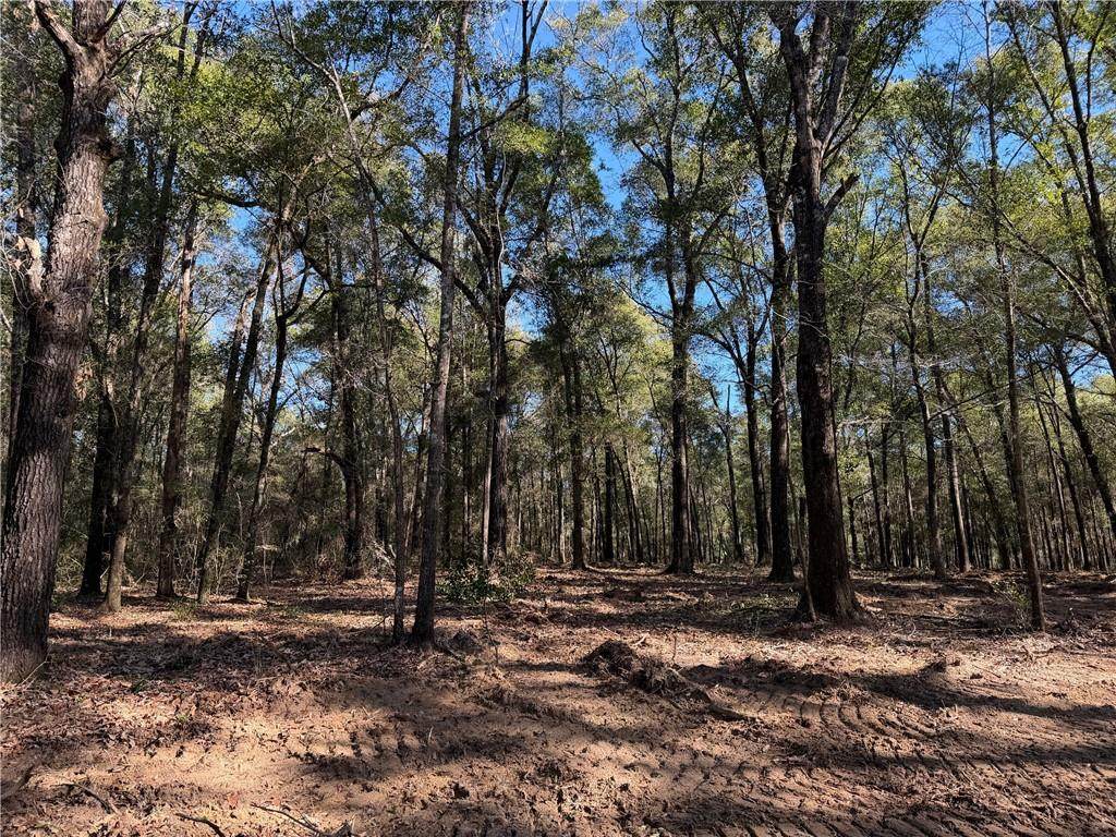 0 Danner Road - Photo 1
