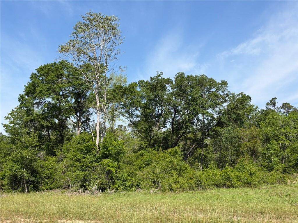 0 Sandy Creek Lane - Photo 1
