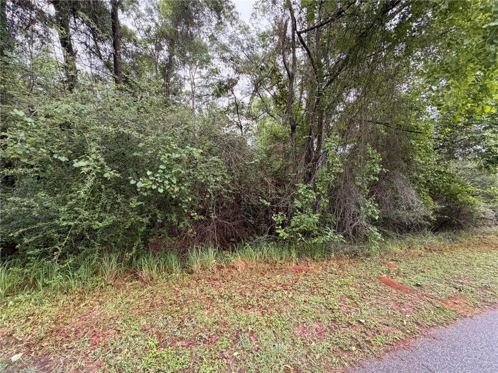 0 Laco Cooper Road - Photo 1