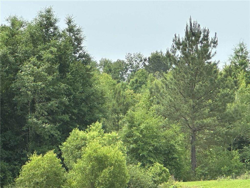 0 County Road 54 Road - Photo 1