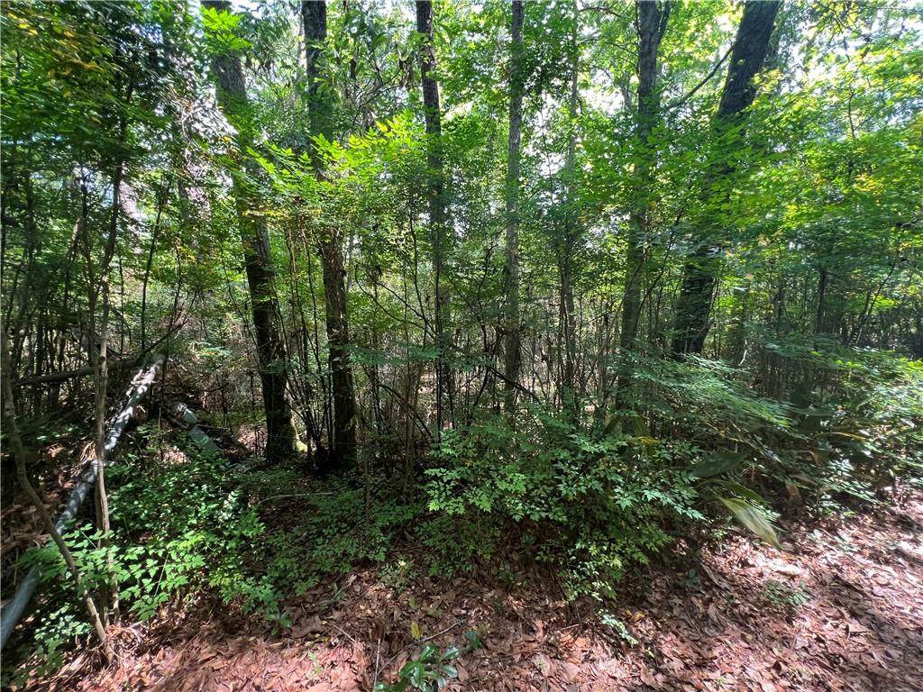3548 Schillinger Road - Photo 1