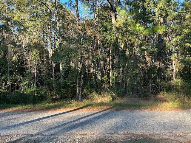 0 Bayou Drive - Photo 1