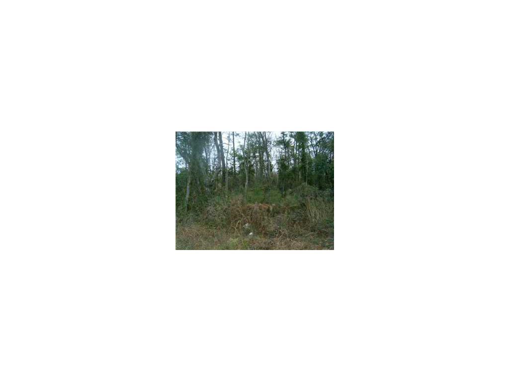 4451 Dauphin Island Parkway - Photo 1